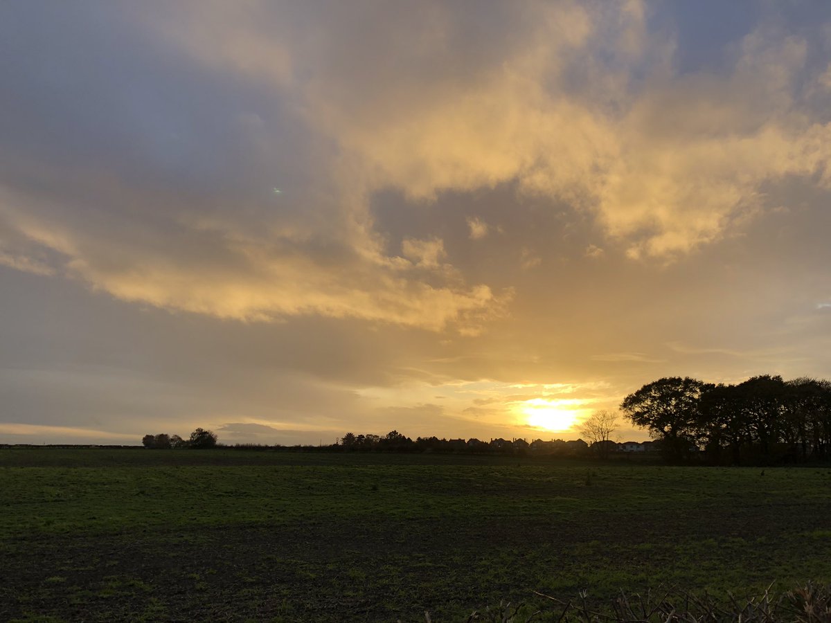 daveliverbirder's tweet photo. Late afternoon #patchbirdjng 2 Jack, 14 Common Snipe, Water Rail (Halebank) Kingfisher, 2 Cetti’s, 4 Stonechat, Merlin (CLP) Peregrine, Com Sand (PP) 4 GWE, 14 LE into roost, 3 Gypo, 2 Stonechat, Merlin and c180 Jackdaw #winteralready https://t.co/xX7rVgOW7Z