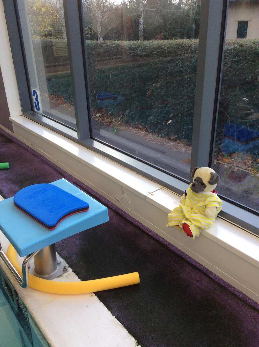 PrepScott's tweet photo. Wow, what an amazing day! It has been fantastic to see all you Scottie’s having so much fun in our many competitions this afternoon. Well done everyone! I had the best day and so did Scott Bear! #Pudsey @WycliffePrep @HelenaWycliffe https://t.co/X8d82IEBON