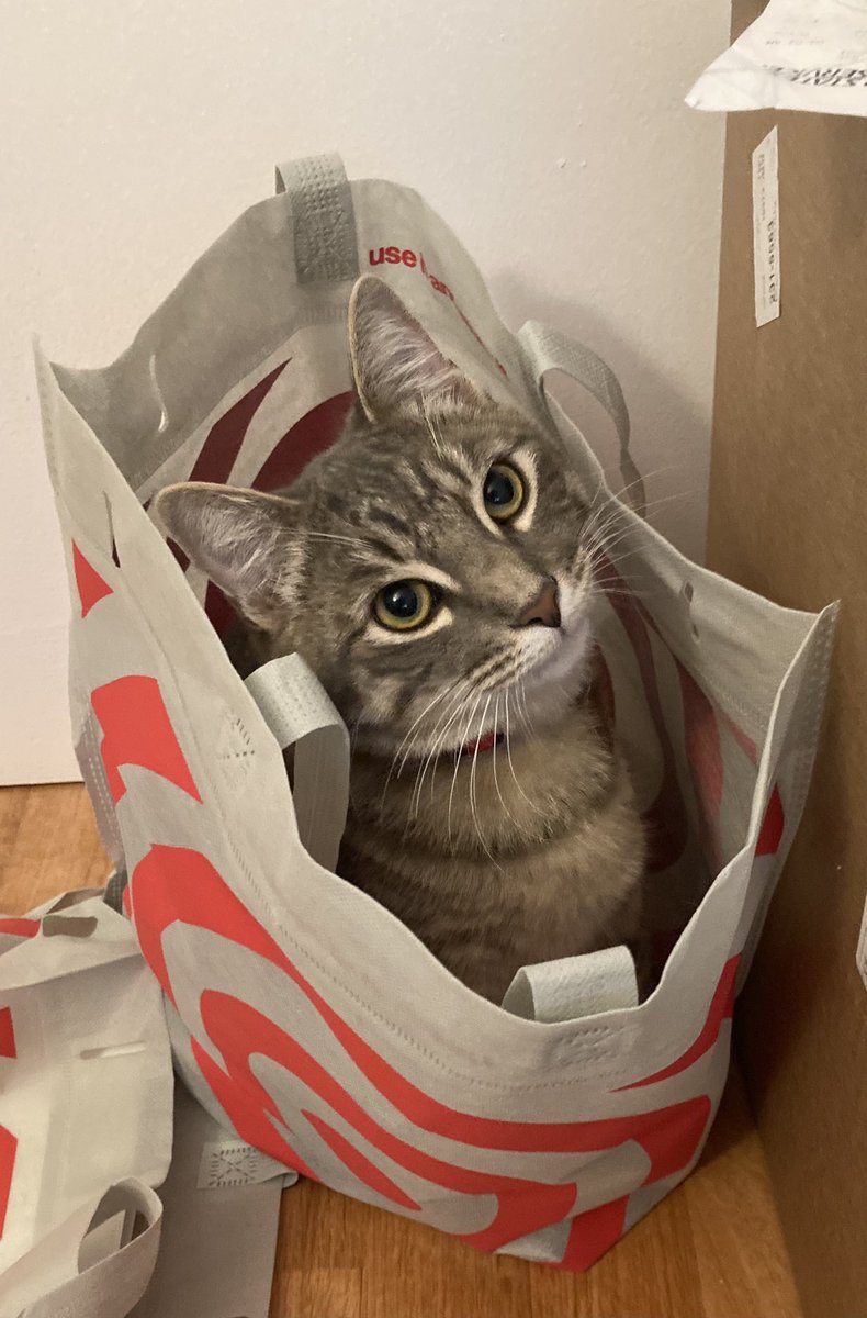 NyFlipLife's tweet photo. @Target what an amazing purchase today 😍 https://t.co/9avdj3aVgY