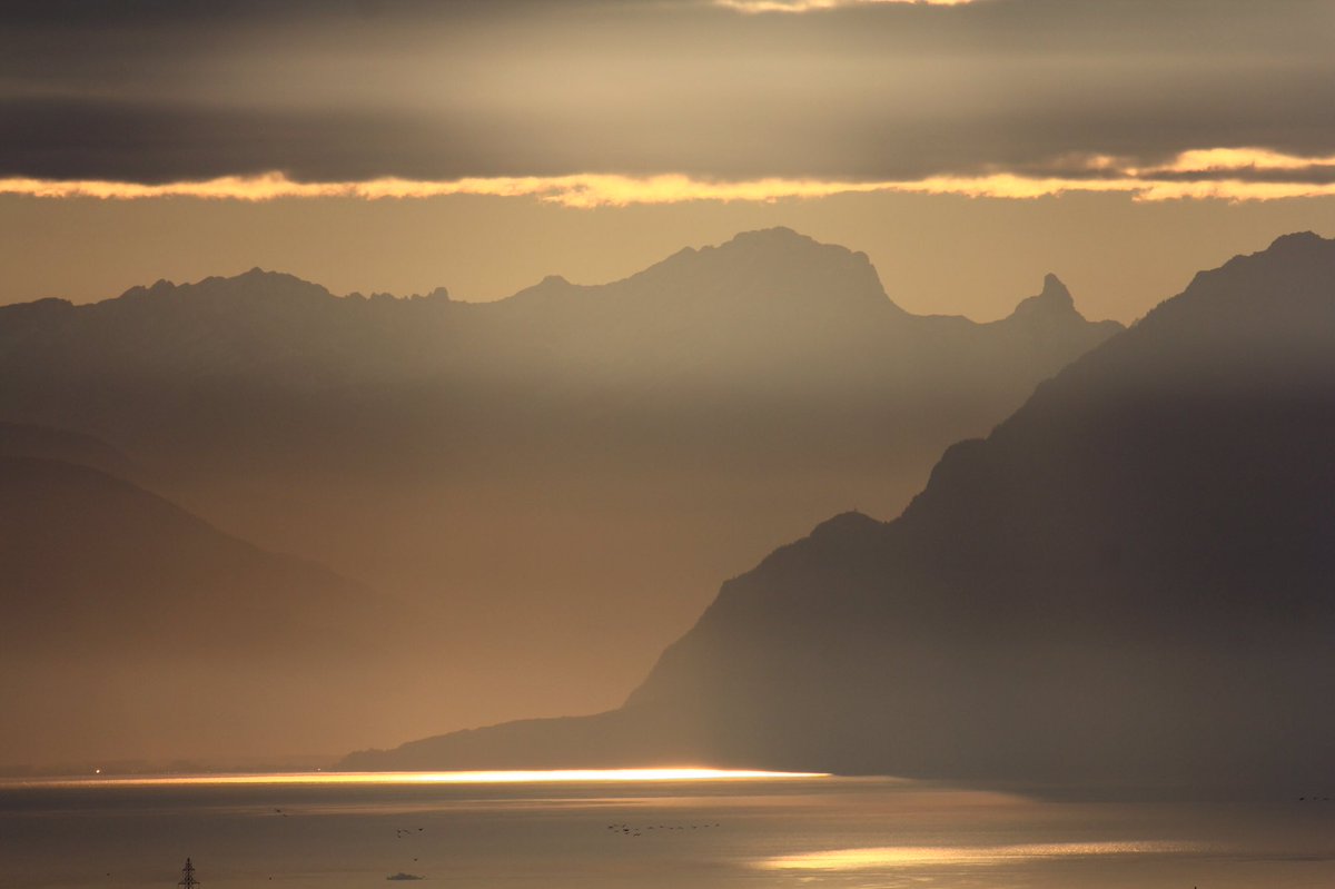 Annickoly's tweet photo. This morning 08:20 🍀🍀🍀 @MySwitzerland_e #grandmuveran #petitmuveran #lemanlake #lacléman #Switzerland #morningpeace #earthbeauty #earthwonder https://t.co/WOdi8ITbYV