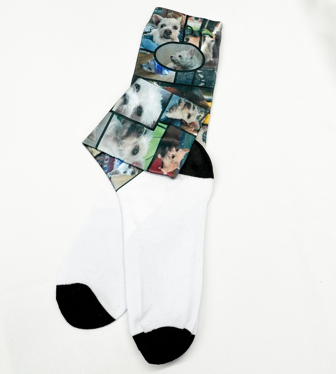 50lougift's tweet photo. Dogs on sock! Order your custom pet gifts before the holiday rush at Small Batch Printing. https://t.co/DthW1hpNbp