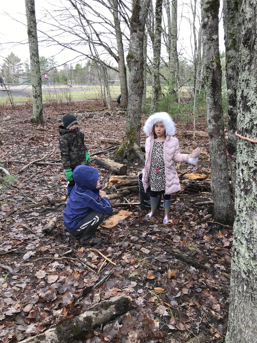 Newcombville Elementary School tweet media