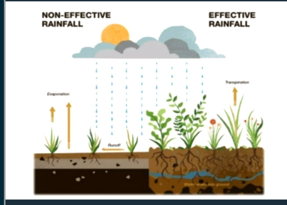 davebeechersoil's tweet photo. Day 5 #BioFarm2020
@Geraghty_Notill speaking to the benefits of #ConservationAgriculture in flood management and how nature knows best with #BeaverDam protecting the valley from wildfires.
#SoilHealth #RegenerativeAgriculture https://t.co/AXzdJvLru8