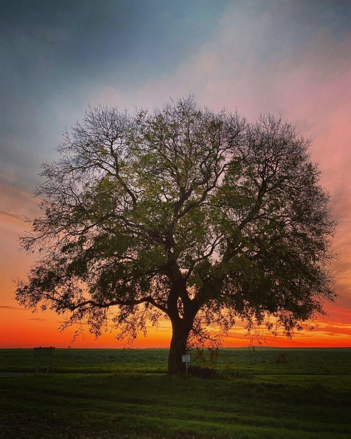 igersNiort's tweet photo. Ce soir c’est comme une envie de profiter de cette merveilleuse ambiance pour bien démarrer le weekend...
•👏 merci @thomteixdrum pour ce partage avec les tags 👉 #deuxsevresdecouverte ou #deuxsevres 👈
•A bientôt pour un nouveau partage, @philippeb… https://t.co/9tEkv3Xqe6 https://t.co/d248MgUxLi