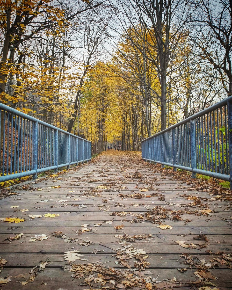 CLIMBHamilton's tweet image. Go get it #hamont!

Climb out of 2020 with the epic, safe challenge we've been waiting for.  Summit Everest from the comfort of our own community while benefitting great causes. 

Register today and take up the challenge until Dec. 31!
Climbhamilton.com 
 #EverestInHamont