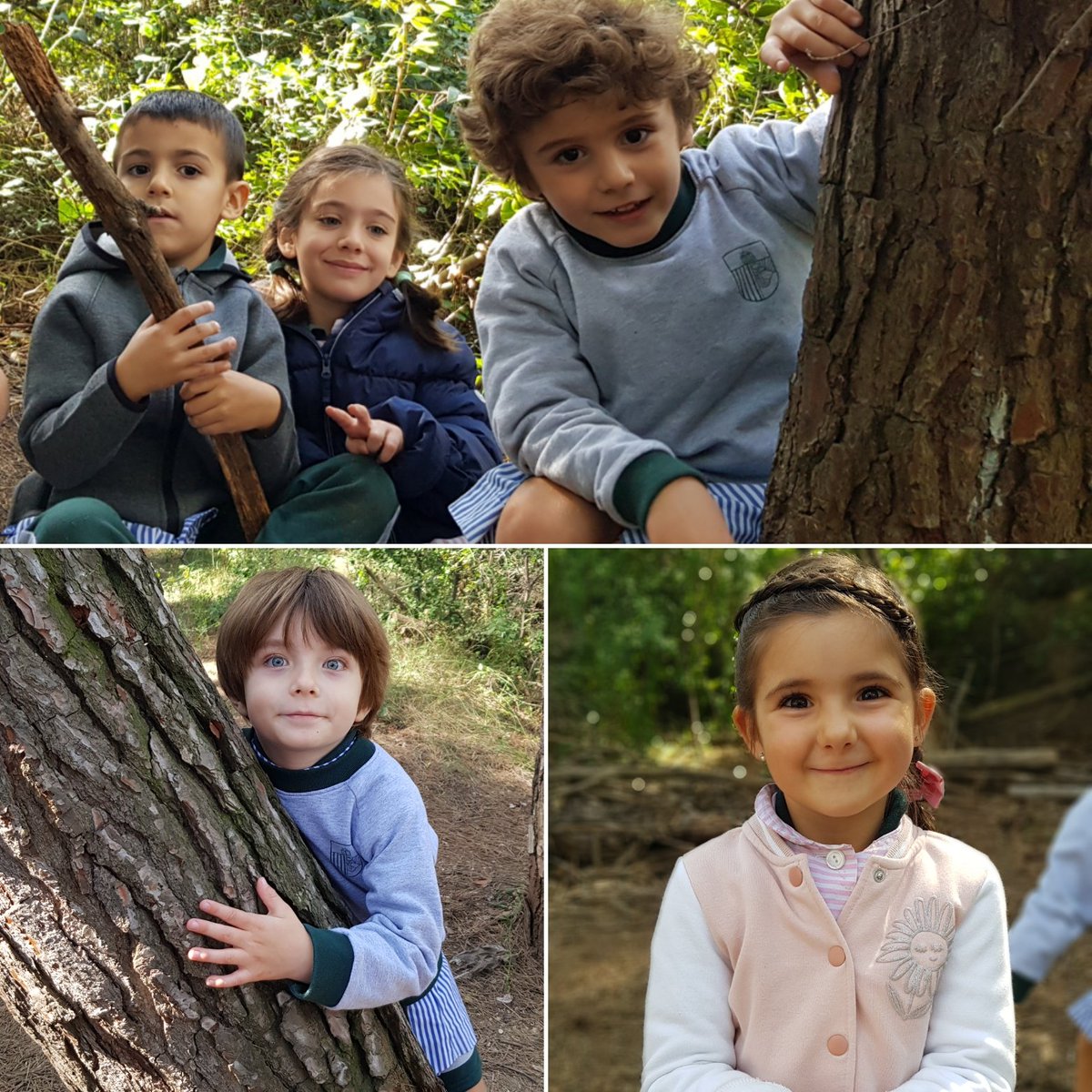 _lavall's tweet photo. Quina sort poder fer classe a la nostra #aulaalbosc !!!! 🌳🌳🌳🌳🌳🌳🌳🌳🌳🌳🌳🌳🌳🌳🌳🌳🌳🌳🌳🌳🌳 Gaudim de l'entorn! Fem #psicomotricitat #descobrim #explorem #olorem #escoltem #respirem #NATURA https://t.co/EO6kvmnHkR