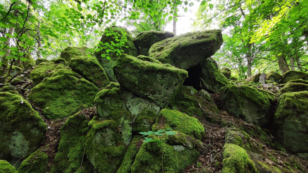 VogelsbergWiki's tweet photo. Wenige kennen die Steinmauer bei Hintersteinau (außer vielleicht die direkten Anwohner). Dabei gehört sie geographisch noch zum Vogelsberg!
Mehr zum Geotop: https://t.co/P3LhAER2Ki
#Vogelsberg #Geotop #Blockhalde #Hintersteinau #Steinmauer #Basalt https://t.co/ABW6Iph7kz