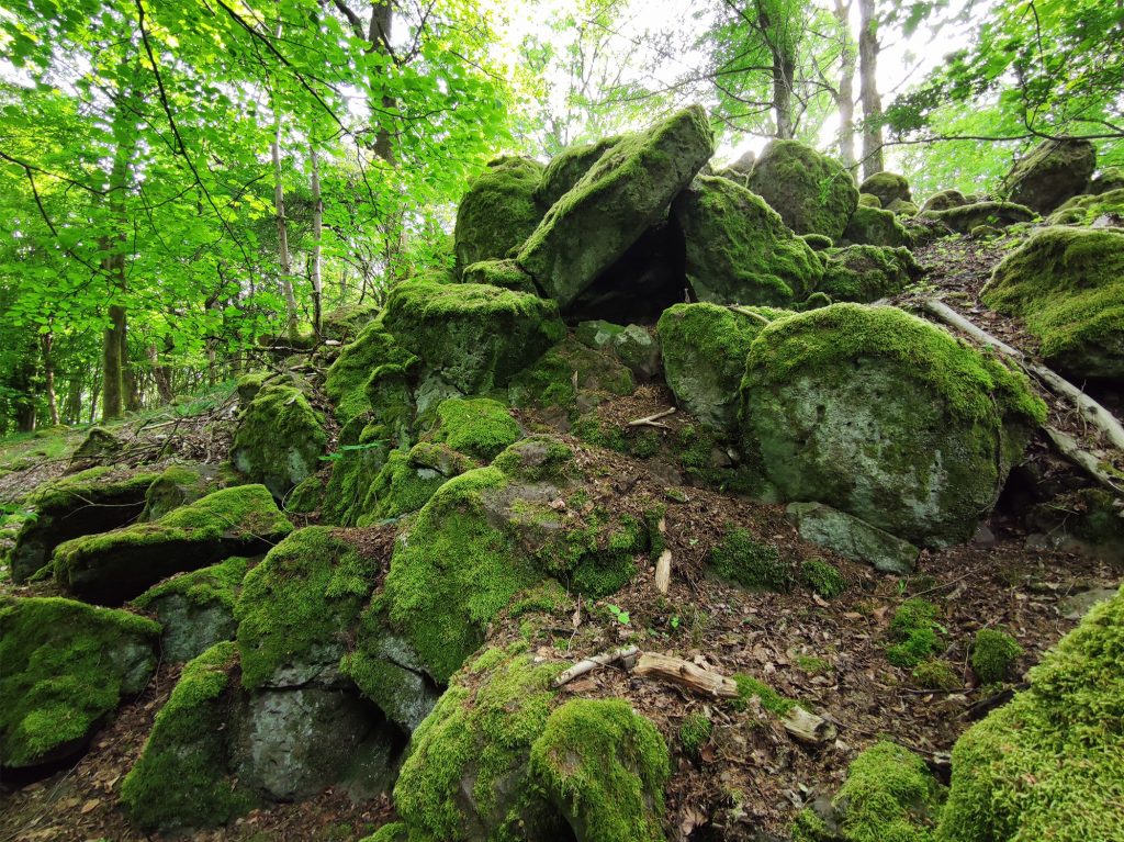 VogelsbergWiki's tweet photo. Wenige kennen die Steinmauer bei Hintersteinau (außer vielleicht die direkten Anwohner). Dabei gehört sie geographisch noch zum Vogelsberg!
Mehr zum Geotop: https://t.co/P3LhAER2Ki
#Vogelsberg #Geotop #Blockhalde #Hintersteinau #Steinmauer #Basalt https://t.co/ABW6Iph7kz
