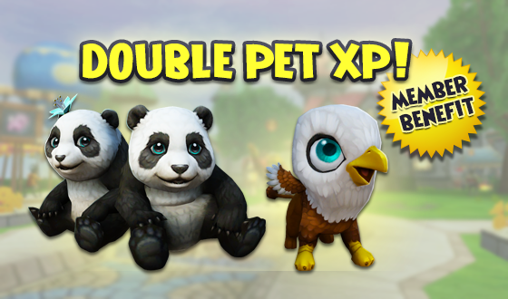 Wizard101's tweet photo. Pet party! 🐾

Members can enjoy the Double Pet XP Member Benefit now through 11/15! What are you waiting for?! Hop to the Pet Pavilion! https://t.co/R6VICAUUnC #Wizard101 https://t.co/Ucxkf5nb4d