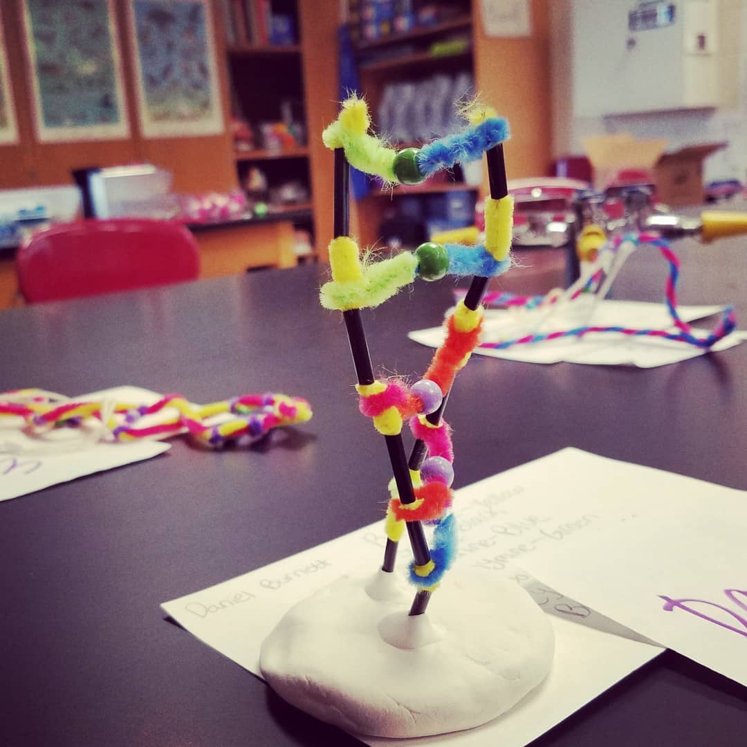 You are a scientist.
The year is 1953.
You've discovered the structure of DNA.
You are holding a press conference to share your discoveries and share your DNA model instagram.com/p/CHijwbVFpRX/…