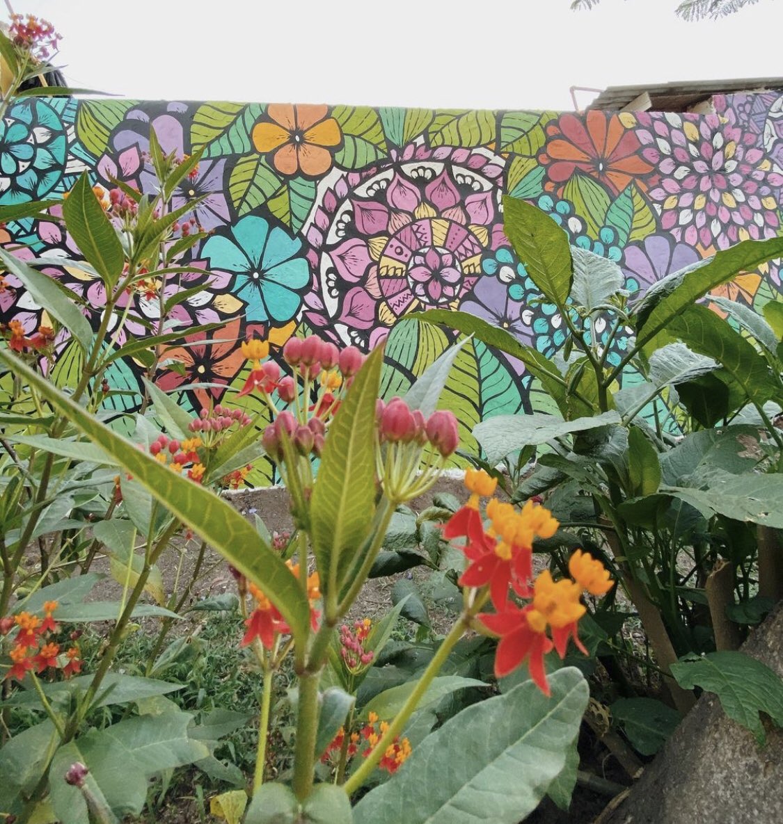 canalacultura's tweet photo. Jardines #primaverales extendidos a través del arte mural por el #ArtistaUrbano argentino #DanielEphraim mejor conocido como #KOKON, esta pieza de 17x3 mts. le da una nueva dimensión a un escenario natural con coloridas piezas #botanicas creadas con patrones y formas de #mandala https://t.co/kd19TfLC5q