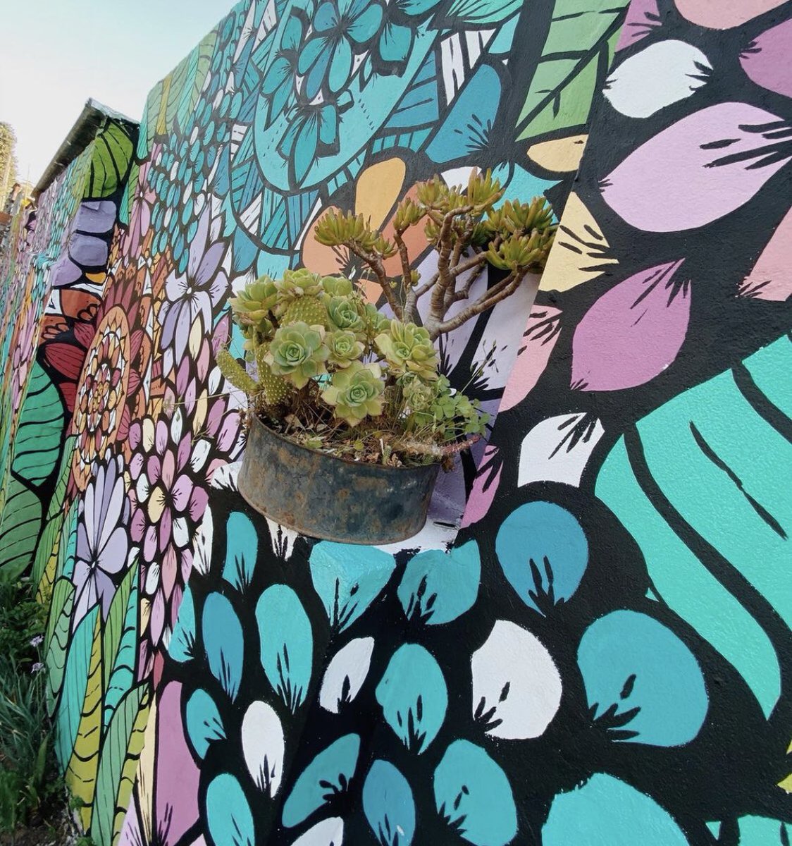 canalacultura's tweet photo. Jardines #primaverales extendidos a través del arte mural por el #ArtistaUrbano argentino #DanielEphraim mejor conocido como #KOKON, esta pieza de 17x3 mts. le da una nueva dimensión a un escenario natural con coloridas piezas #botanicas creadas con patrones y formas de #mandala https://t.co/kd19TfLC5q