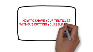 There was only one green circle, and those man parts were HAIRLESS. So, the morning of my surgery, job one: Shave my bits. Now, while I’ve always kept my regions more 1980s than 1970s—it’s just polite—I had never taken a blade to my funyuns. Friends, I was shaking.