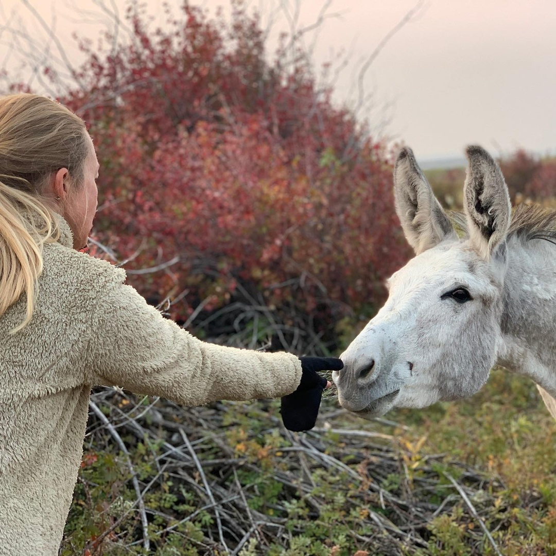 Fall favs with Dr. Compton. 🍁🍂

☕️ Favorite Warm Drink: Hot apple cider (not from a packet)
🧗‍♀️ Favorite Fall Activity: Hiking
🥜 Favorite Fall Treat: Candy corn and peanuts
🍔 Favorite Fall Scent: The grill during a tailgate