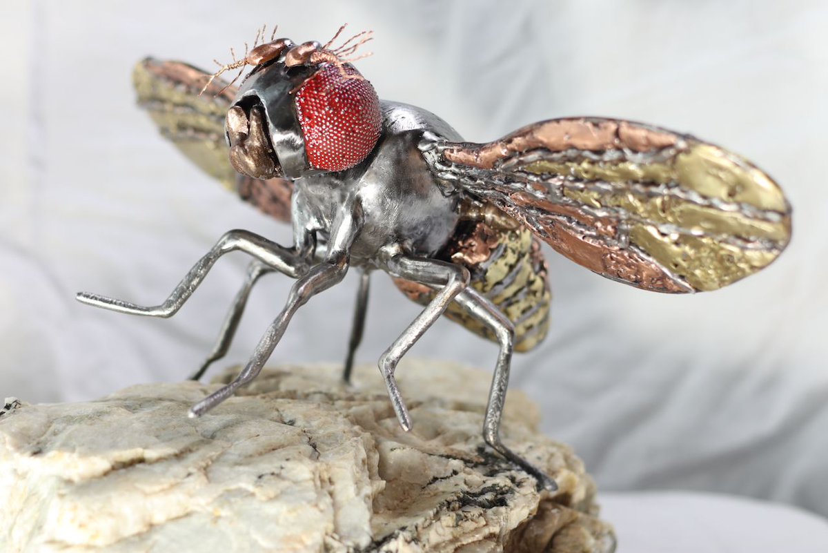 GeneticsGSA's tweet photo. #Dros21 #FruitFlyArt submission: Multi-metal welded sculpture created by Bryan Welm, Huntsman Cancer Institute, University of Utah (@BryanWelm) https://t.co/RzD4amSIOc