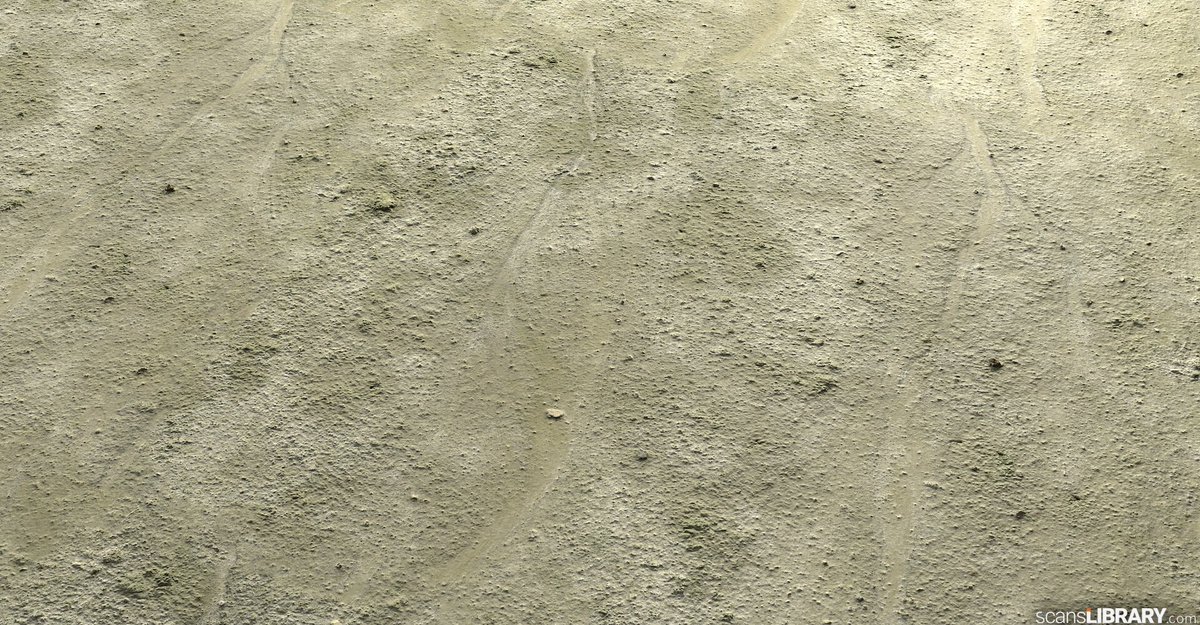 ScansLibrary's tweet photo. NEW - Surface Scans
You can become a member and try the free assets.
https://t.co/IVuVm6zlog
#scanslibrary #gamedev #digitalart #cgi #3dmodeling #indiedev #GameDeveloper #3d #materials #3dtexture #scandata #render #photogrammetry #vfx #ue4 #3DModel #3dmaterial https://t.co/OW0VhkesuA