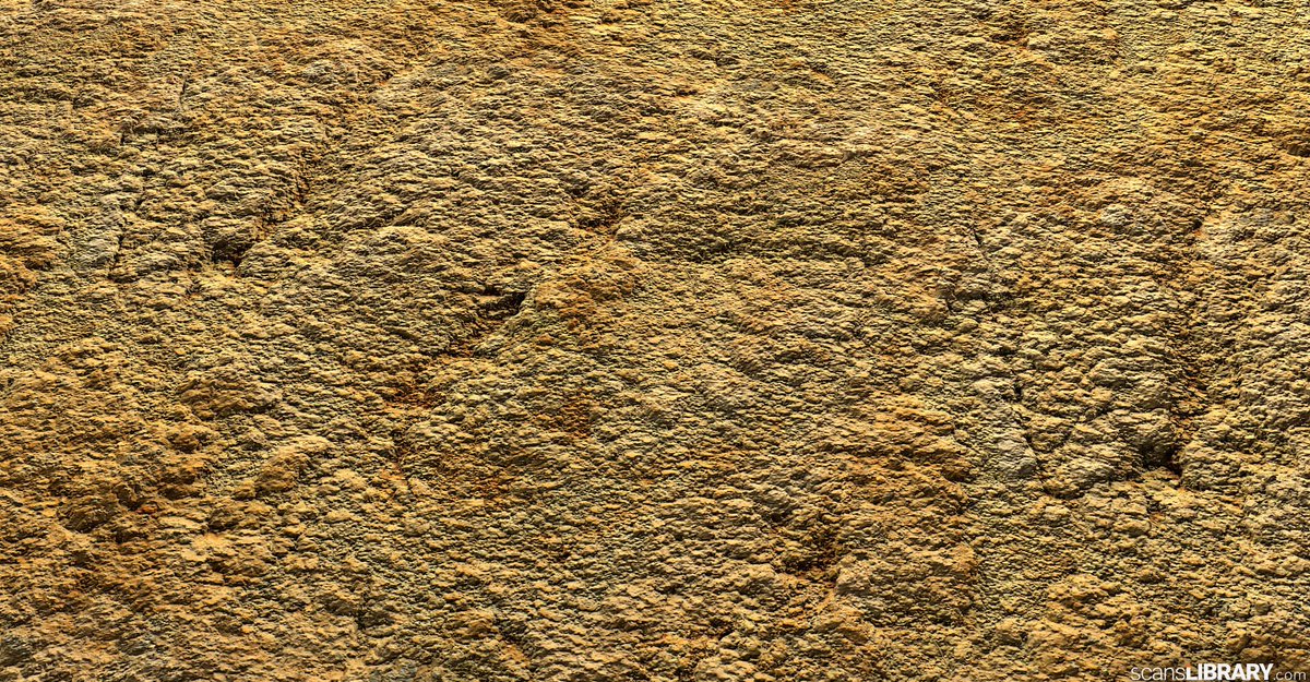 ScansLibrary's tweet photo. NEW - Surface Scans
You can become a member and try the free assets.
https://t.co/IVuVm6zlog
#scanslibrary #gamedev #digitalart #cgi #3dmodeling #indiedev #GameDeveloper #3d #materials #3dtexture #scandata #render #photogrammetry #vfx #ue4 #3DModel #3dmaterial https://t.co/OW0VhkesuA