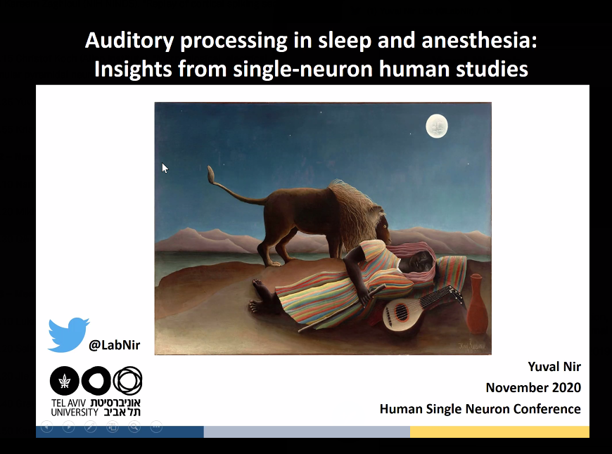 SaberaTalukder's tweet photo. Up now at #HSN2020 Yuval Nir @LabNir from @StudyTAU discussing "Auditory processing in sleep and anesthesia: insights from single-neuron human studies" https://t.co/VHkx40F96U
