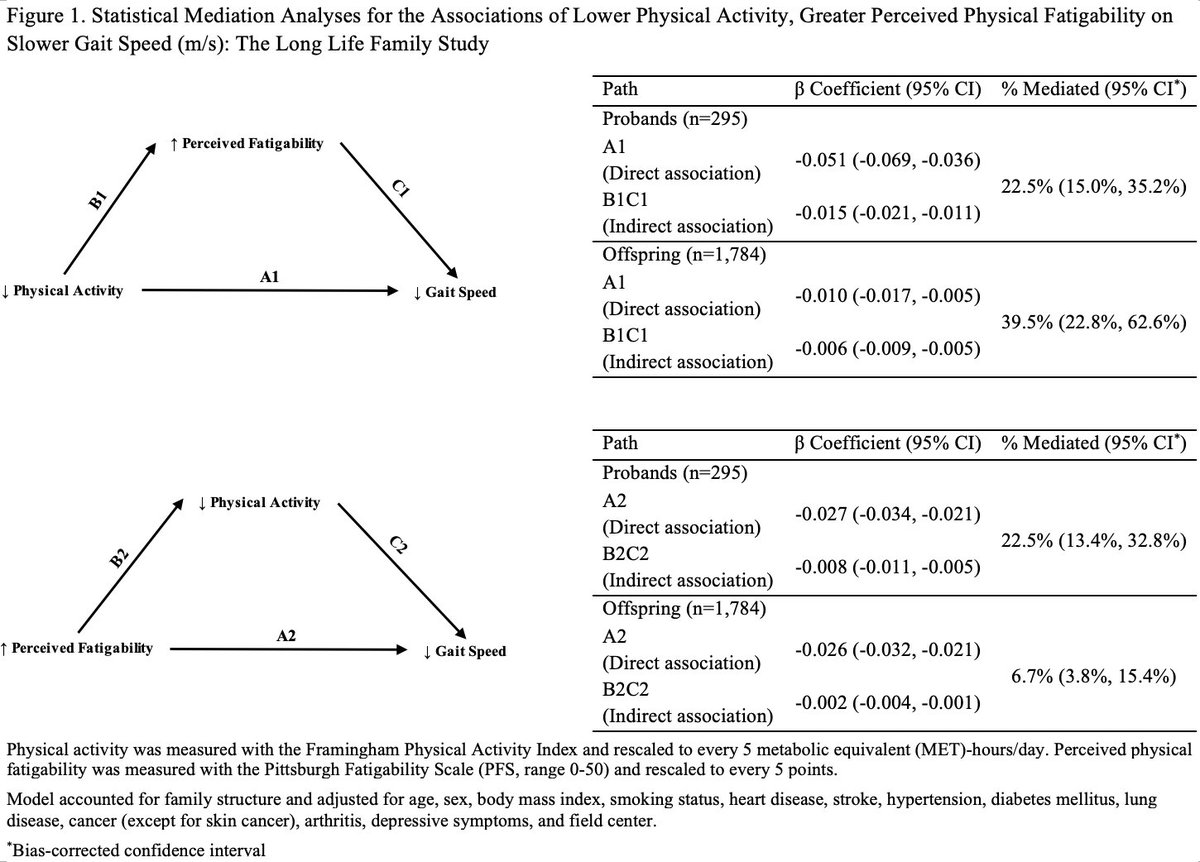 Susanna Qiao (@yujiaqiao) on Twitter photo Check this out!
"Evaluation of the Bidirectional Relations of Perceived Physical Fatigability and Physical Activity on Slower Gait Speed": Perceived physical fatigability as a potential mediator in the disablement pathway. <a href="/geronsociety/">Gerontological Society of America (GSA)</a> <a href="/oxfordjournals/">Oxford Journals</a> academic.oup.com/biomedgerontol… Check this out!
"Evaluation of the Bidirectional Relations of Perceived Physical Fatigability and Physical Activity on Slower Gait Speed": Perceived physical fatigability as a potential mediator in the disablement pathway. <a href="/geronsociety/">Gerontological Society of America (GSA)</a> <a href="/oxfordjournals/">Oxford Journals</a> academic.oup.com/biomedgerontol…