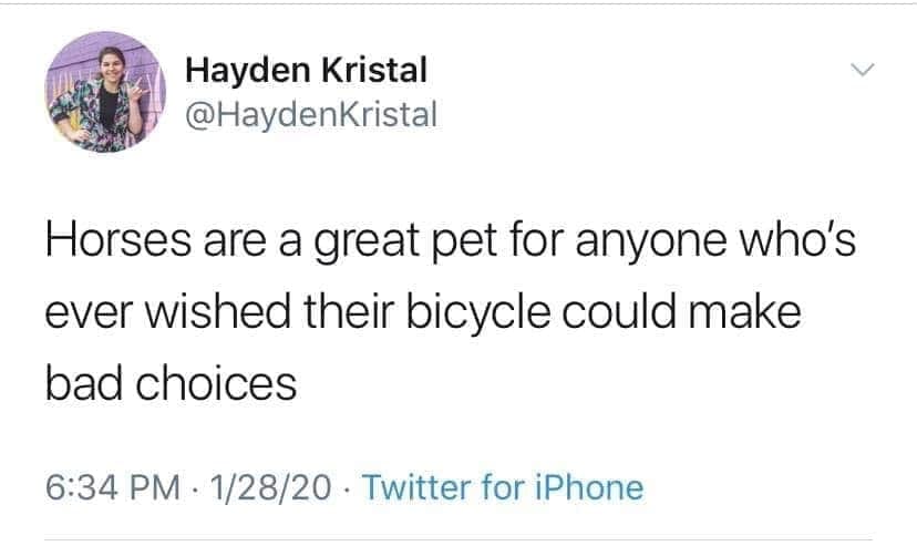 DownunderHorse's tweet photo. 🤣 #ApplyTheMethod https://t.co/bp7mCN98pT