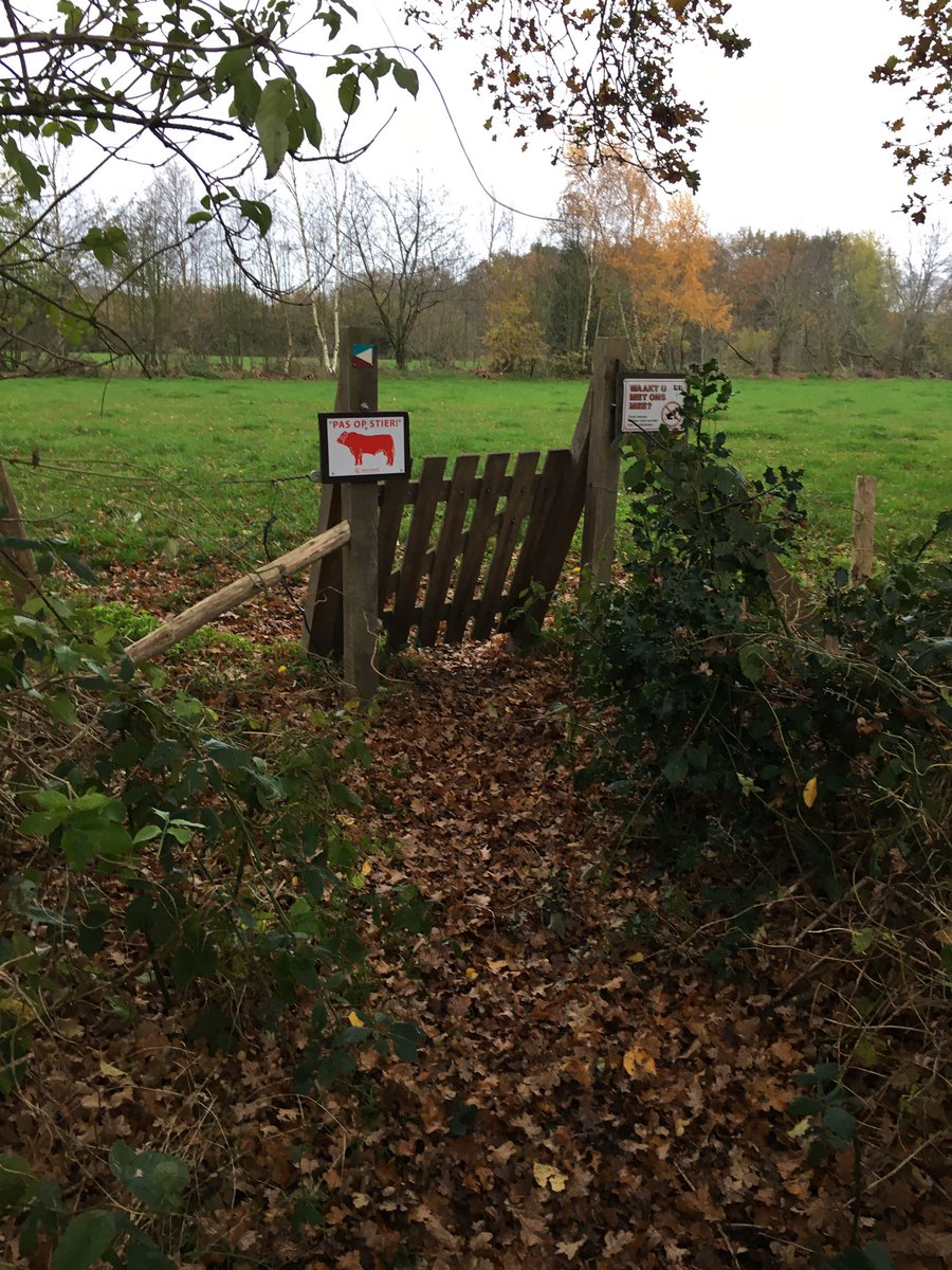 Hardlopen met onderweg een “sprint-oefening”. Aan motivatie géén gebrek. #Kerkepad #Nieuweschoot #Bolle