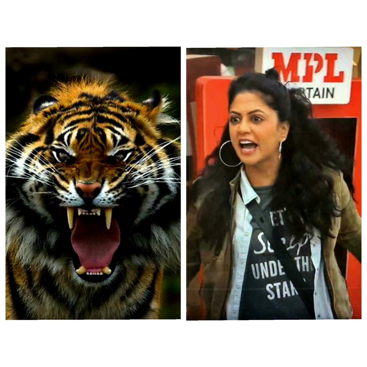 Iamkavitak's tweet photo. Yaad rahe sherni jab roar karti hai, tab achhe achho ki bolti bandh ho jaati hai.. π
Apni sherni ko aise hee support karne ke liye dekhte rahiye, #BiggBoss Mon-Fri 10:30 PM aur Weekends 9 PM only on @ColorsTV aur @VootSelect
#KavitaKaushik #BBTrendMasterKavitaKaushik https://t.co/abH6aFVrph