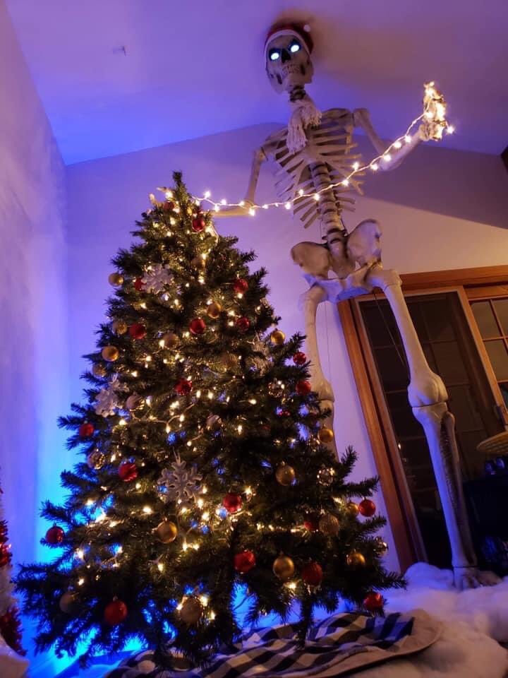 reckkLYSS's tweet photo. @KarenKilgariff 40ft skeleton. The gift that keeps on giving. https://t.co/bVjmTcv7Nd