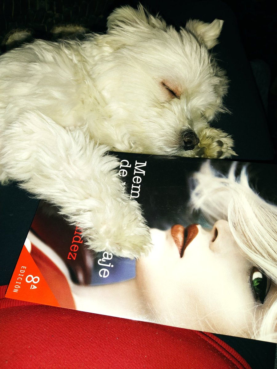 MiriamExtremera's tweet photo. #diadelaslibrerias ❤️ @bebi_fernandez https://t.co/ngeFFKBWBf