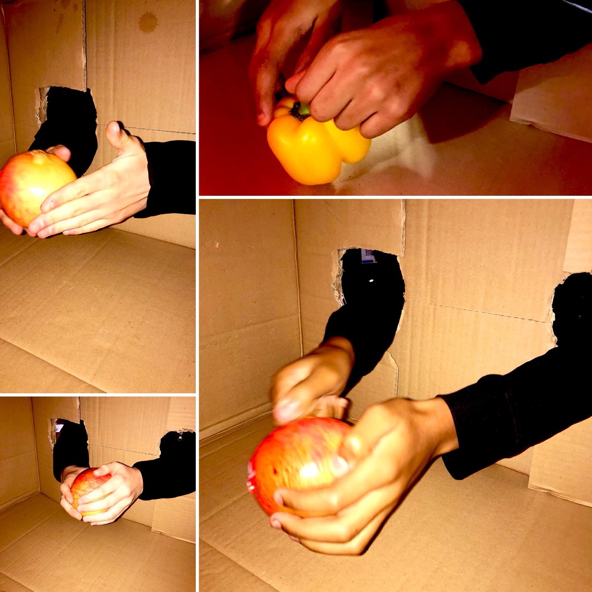 Sporting Chance CiC tweet media