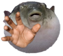 🔥Viernesciada, N4, inserte titulo clickbait aqui! 🔥!redes

Únanse a la diversión en:

twitch.tv/eduardochi_rag…

#Phasmophobia #PhasmophobiaGame #twitchaffiliate #twitchstreamer #twitchtv #español #stream #random