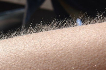 marcgabernet's tweet photo. “Hola a tothom. Sóc Carles Porta, us parlo des de Catalunya Ràdio” #ElSegrest https://t.co/XtzZpZVzmD