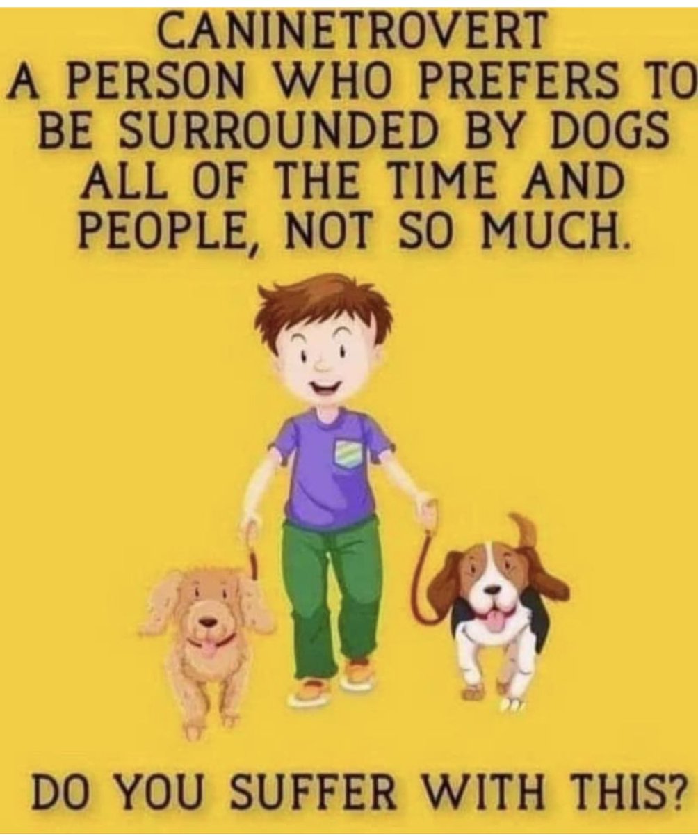 Heck yeah! 👇🏼👇🏼👇🏼