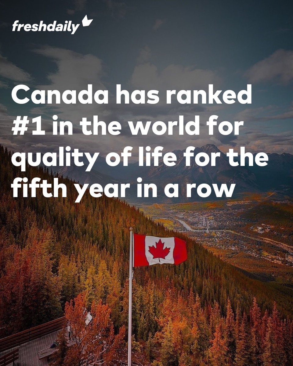 Freshdaily tweet media