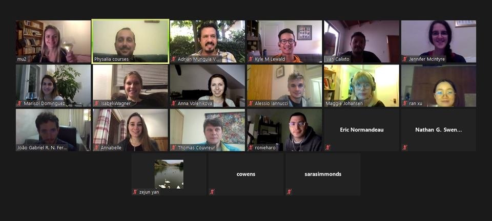 Physacourses's tweet photo. Amazing first edition of our course "Eukaryotic genome assembly USING @PacBio (Hifi and clr) and Hi-C" with @MahUliano and @FerreiranunesJ !
What a great week - thanks to all the participants! https://t.co/ko4K39fYlu