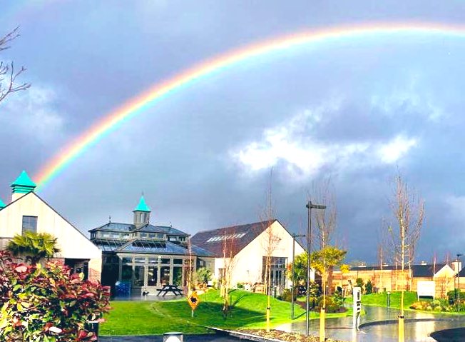 SHEDDISTILLERY's tweet photo. We needed something to express our joy, our beauty, our power. And the rainbow did that this afternoon!! #extraordinary #discovery #DrinkResponsibly #rainbowofjoy https://t.co/MA4glPdPsA