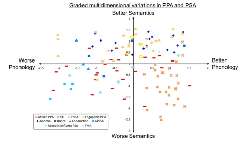 Ingram et al. compare language impairments caused by stroke with those caused by neurodegeneration (primary progressive aphasia), and show that the variations of phenotype reflect four graded behavioural dimensions. bit.ly/3mKd4Jm