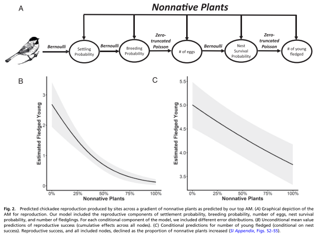 KatiePhilp6's tweet photo. An insightful study by @DLNarango et al. on the importance of evolutionary histories between native species within an #UrbanEcosystem. Particular appreciation for the graphical portrayal on the statistics involved! #NonnativePlants #ChickadeeReproduction @ScicommDylan https://t.co/80mbmpOVjQ