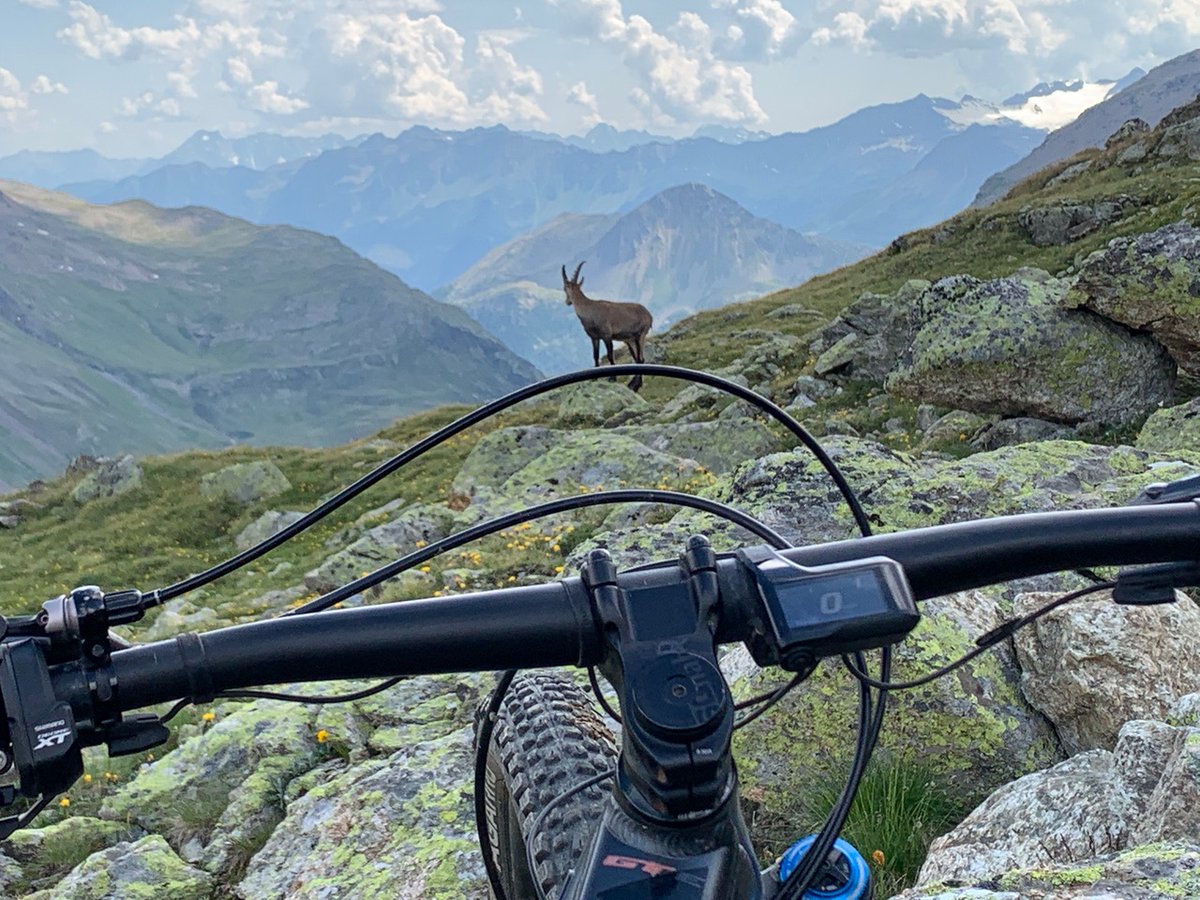 NoTubes's tweet photo. .@HansNoWayRey has spent more time in the saddle than most people and he has some incredible photos to back it up. #onlystans #flowMK3 https://t.co/34LFxgxRr1