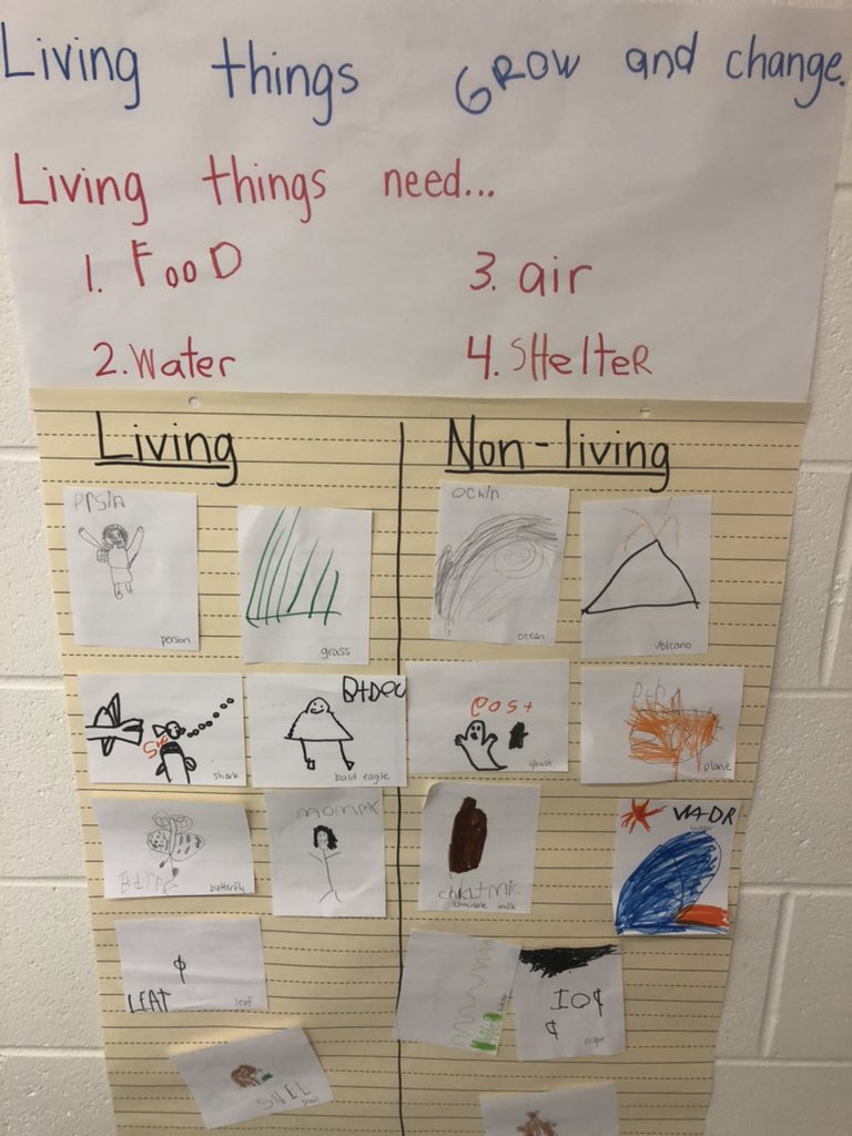 We’ve been learning about living and non-living things! <a href="/HilliardWolves/">Washington Elem</a>
