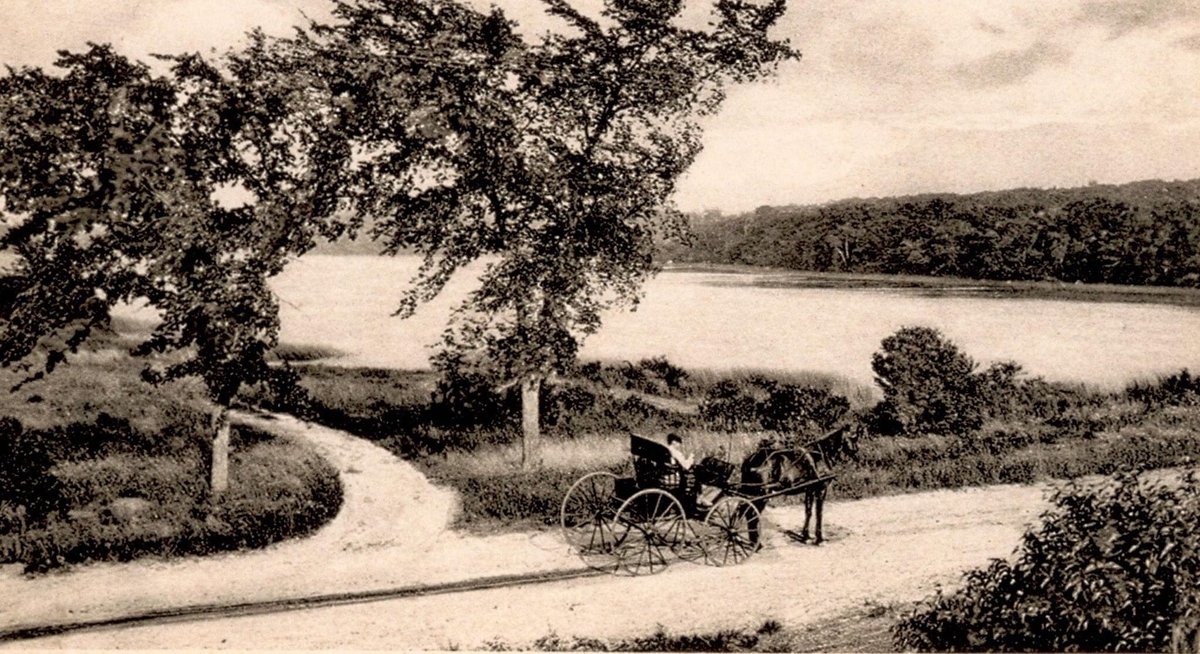 HSOldYarm's tweet image. A view of Dennis Pond, looking east from Willow Street, early 1900s. #oldcapecod