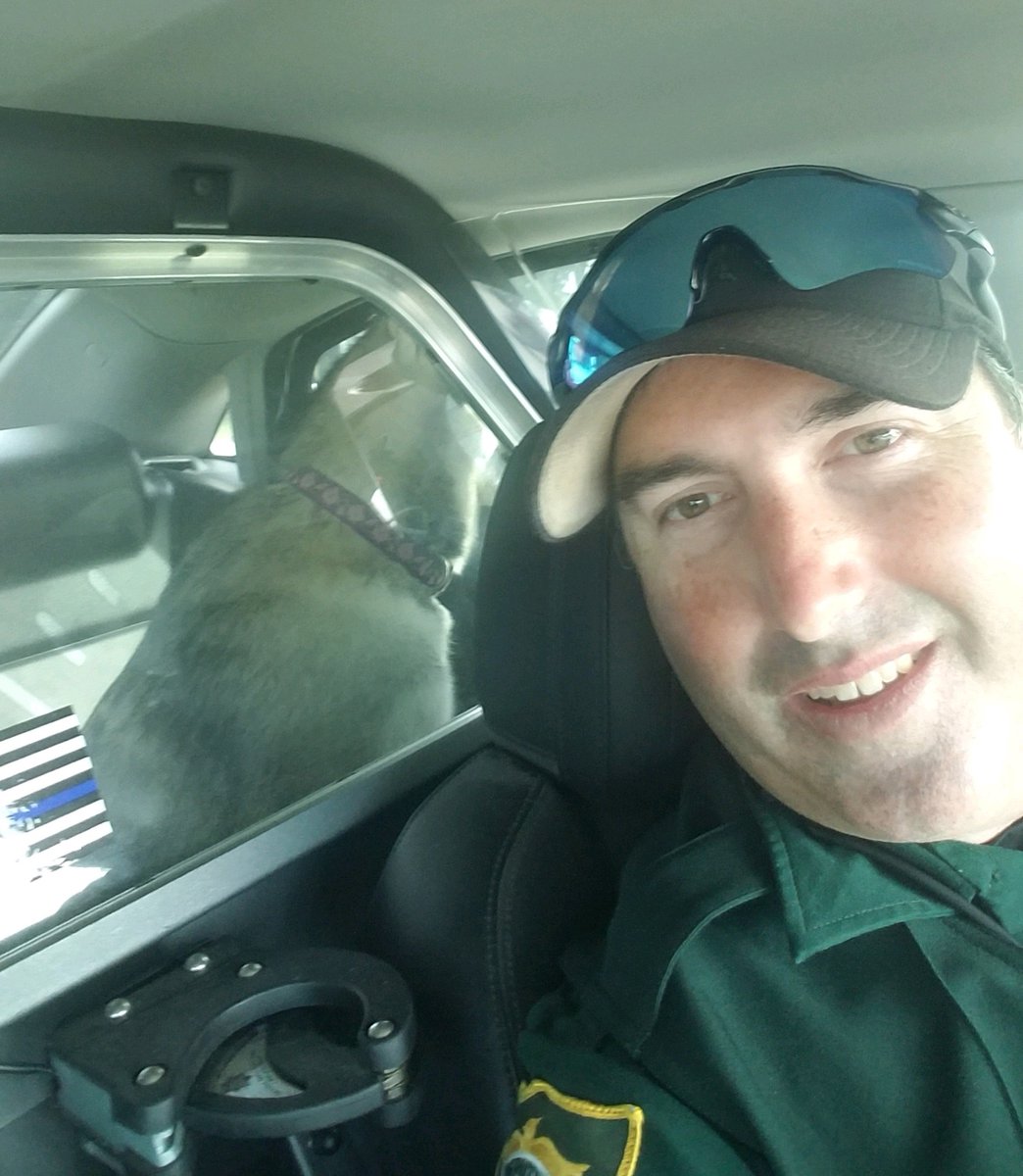 ManateeSheriff's tweet photo. π REUNITED: Dep. Leggett found this dog near traffic on Erie Rd. Afraid she may get hit, he called her over & she jumped in his patrol car. He tried to find her owner & eventually took her to Animal Services. Luckily, her owner arrived shortly after to pick her up! #MCSOCares https://t.co/bZpfZkogeg