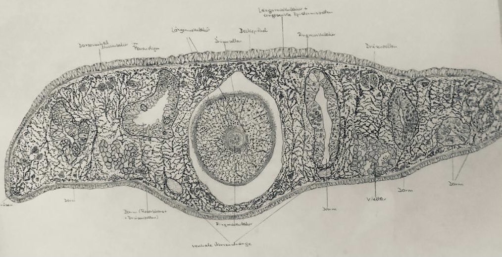 Selenko Lab tweet media