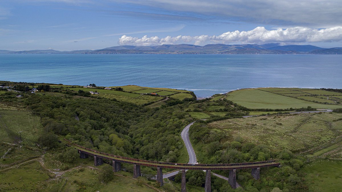 @poloconghaile tweet media