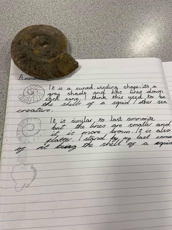 DringhousesPS's tweet photo. Class 10 spent the afternoon sketching fossils and deciding what creatures they might have belonged to once upon a time. Check out the spotty nails too! #DringScience https://t.co/Ln1LlWntoD