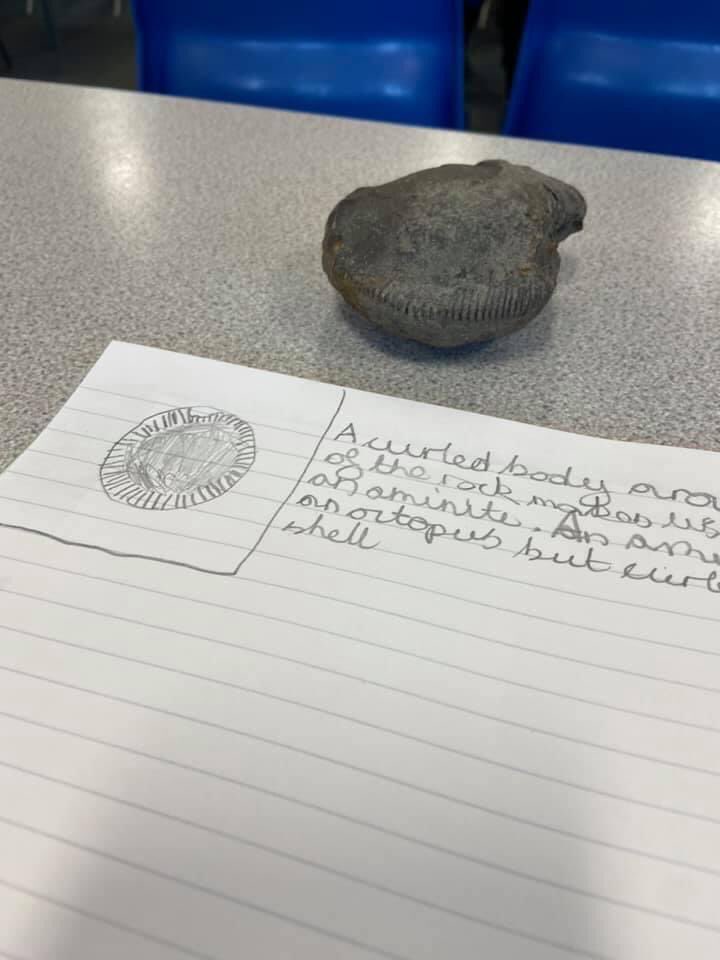DringhousesPS's tweet photo. Class 10 spent the afternoon sketching fossils and deciding what creatures they might have belonged to once upon a time. Check out the spotty nails too! #DringScience https://t.co/Ln1LlWntoD