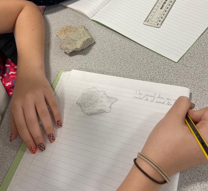 DringhousesPS's tweet photo. Class 10 spent the afternoon sketching fossils and deciding what creatures they might have belonged to once upon a time. Check out the spotty nails too! #DringScience https://t.co/Ln1LlWntoD
