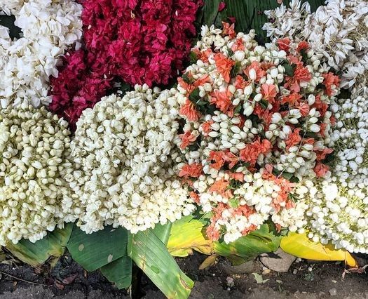 thebrowndesi's tweet photo. Finding Diwali - Wherever you are!
I don’t know if you are an ‘exact’ millennial (I just coined that term), whose personality is built to chase a career, and perhaps even a perfect family.
https://t.co/LRyOV2IEKJ
#DiwaliCelebration2020 #Toronto #Immigrants #Indian #Diwali https://t.co/lgpB7tx0hL