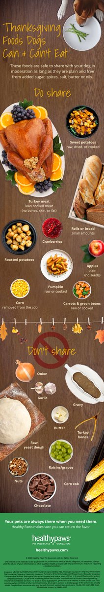 healthy paws raw food