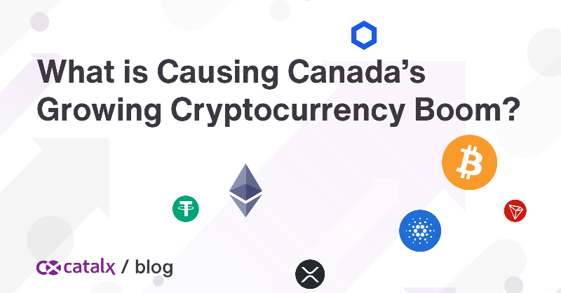 CatalyxExchange's tweet photo. Why is Canada becoming a Hot Spot for Crypto?

Check out our #blog for news and insights from the #WorldofCrypto! #cryptocurrency #crypto #bitcoin #cryptoexchange #cryptonews #cryptotrading #TradeWithCatalX 👍