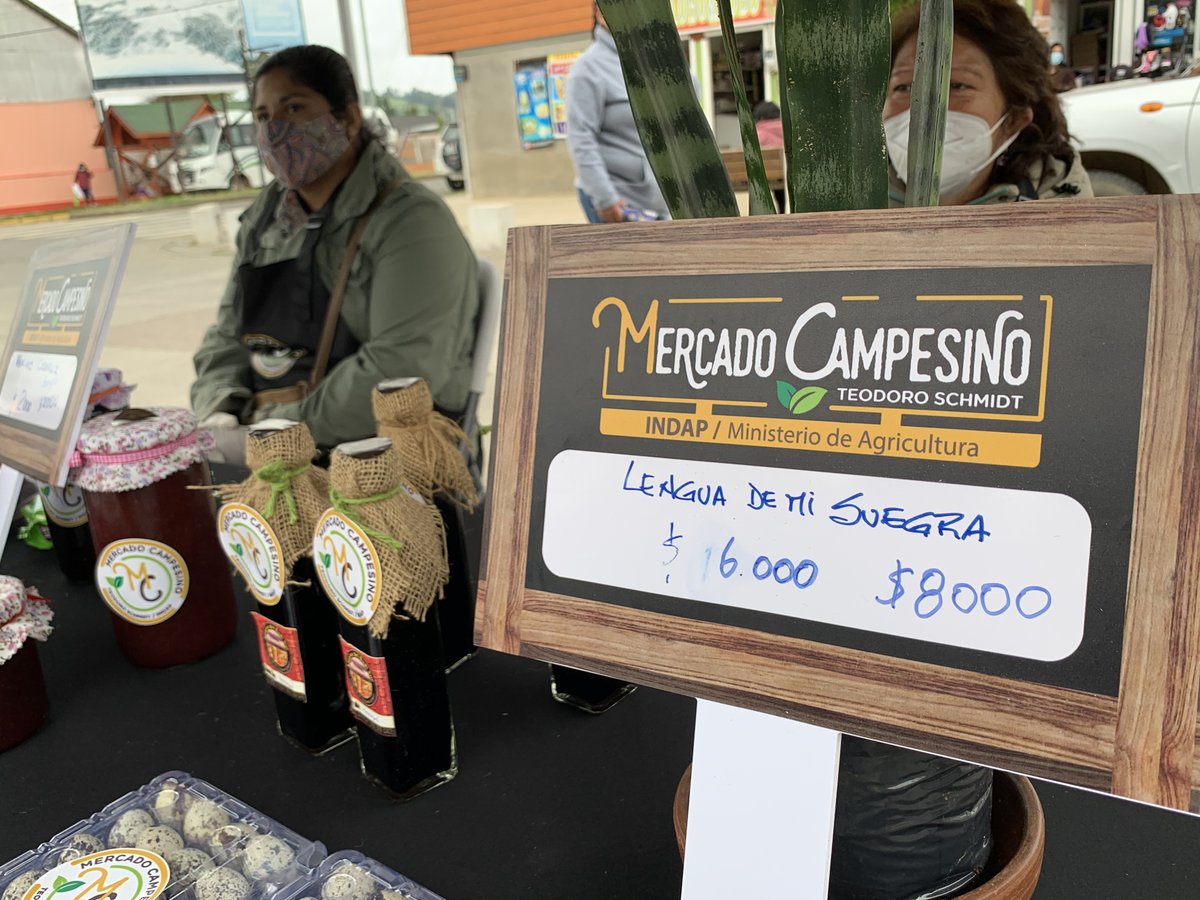 indaparaucania's tweet photo. Bajo un estricto protocolo sanitario, en Teodoro Schmitd se inauguró un nuevo #MercadoCampesino de #INDAP. Los beneficiados son 22 pequeños productores, quienes recibieron kits con toldos, mesas, sillas, entre otros. 
Una inversión de INDAP #Araucanía, por más de $10 millones. https://t.co/2tGXsRuTE2
